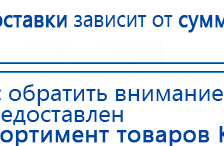 СКЭНАР-1-НТ (исполнение 01) артикул НТ1004 Скэнар Супер Про купить в Новошахтинске, Аппараты Скэнар купить в Новошахтинске, Медицинская техника - denasosteo.ru