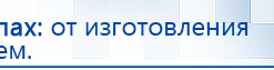 Электрод Скэнар - лицевой двойной Пешки купить в Новошахтинске, Электроды Скэнар купить в Новошахтинске, Медицинская техника - denasosteo.ru