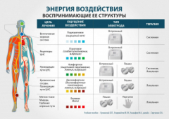 ЧЭНС-01-Скэнар-М в Новошахтинске купить Медицинская техника - denasosteo.ru 
